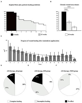 Case Report: Freeze-Dried Human Amniotic Membrane Allograft for the Treatment of Chronic Wounds: Results of a Multicentre Observational Study